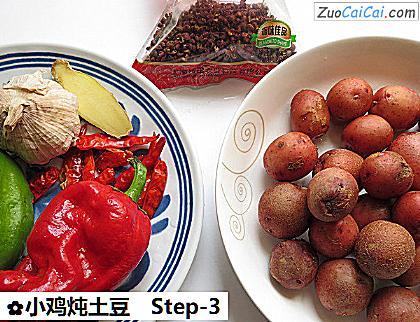 小鸡炖土豆做法第三步骤
