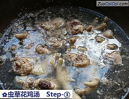 虫草花鸡汤做法第三步骤