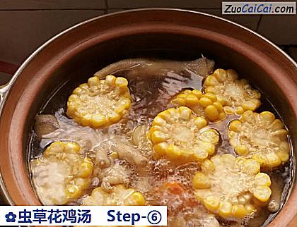 虫草花鸡汤做法第六步骤