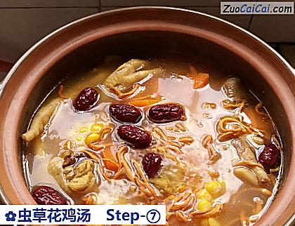 虫草花鸡汤做法第七步骤