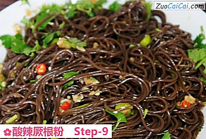 酸辣厥根粉做法第九步骤