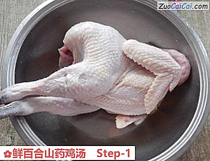 鲜百合山药鸡汤做法第一步骤