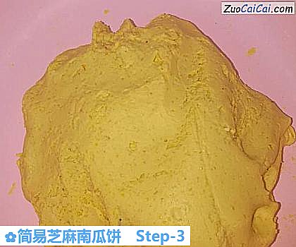 简易芝麻南瓜饼做法第三步骤