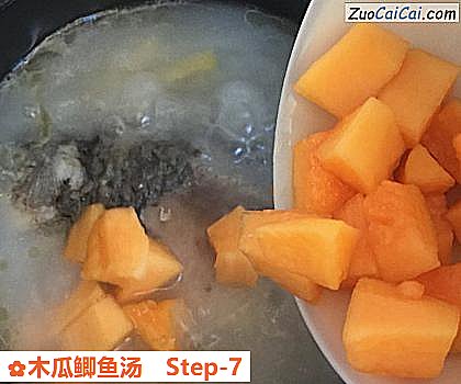 木瓜鲫鱼汤做法第七步骤