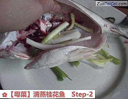 清蒸桂花鱼做法第二步骤