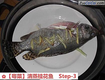 清蒸桂花鱼做法第三步骤