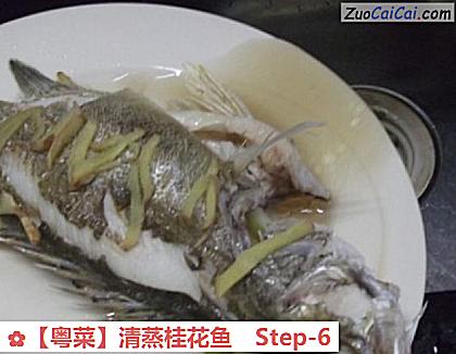 清蒸桂花鱼做法第六步骤