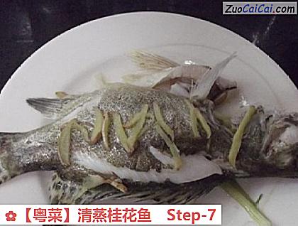 清蒸桂花鱼做法第七步骤