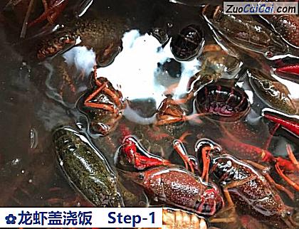 龙虾盖浇饭做法第一步骤
