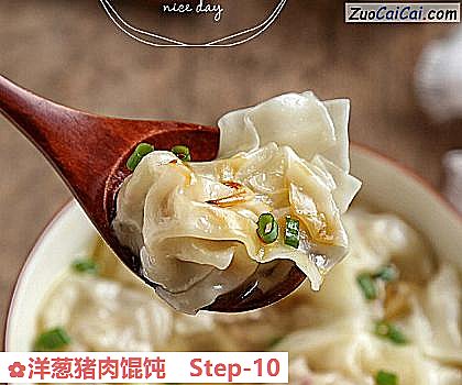 洋葱猪肉馄饨做法第十步骤