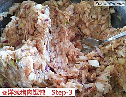 洋葱猪肉馄饨做法第三步骤