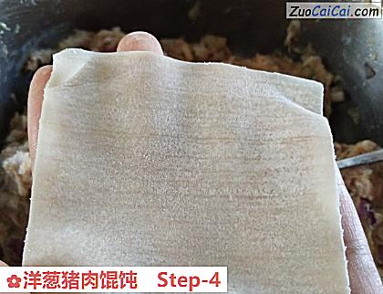 洋葱猪肉馄饨做法第四步骤