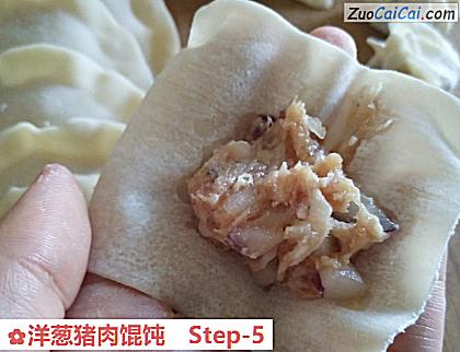 洋葱猪肉馄饨做法第五步骤