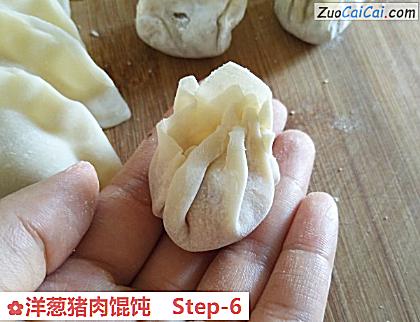 洋葱猪肉馄饨做法第六步骤