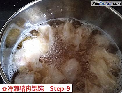 洋葱猪肉馄饨做法第九步骤