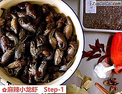 麻辣小龙虾做法第一步骤