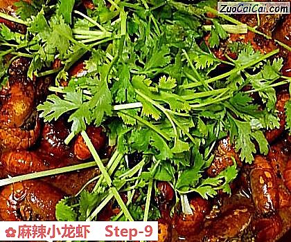 麻辣小龙虾做法第九步骤