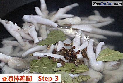 凉拌鸡脚做法第三步骤