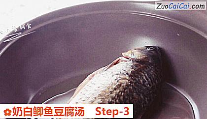 奶白鲫鱼豆腐汤做法第三步骤