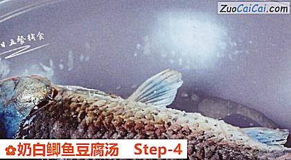 奶白鲫鱼豆腐汤做法第四步骤