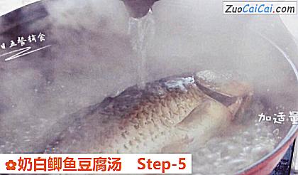 奶白鲫鱼豆腐汤做法第五步骤