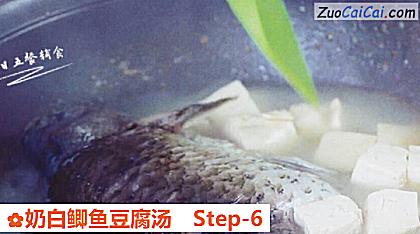 奶白鲫鱼豆腐汤做法第六步骤
