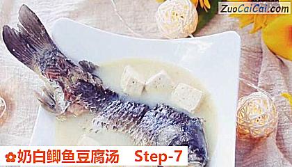奶白鲫鱼豆腐汤做法第七步骤