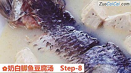 奶白鲫鱼豆腐汤做法第八步骤