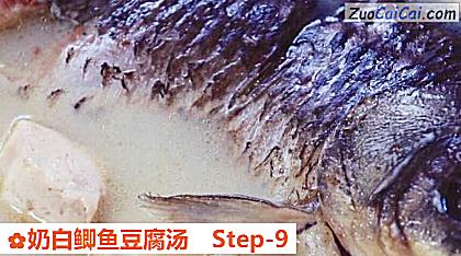 奶白鲫鱼豆腐汤做法第九步骤