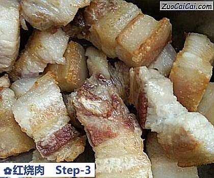 红烧肉做法第三步骤