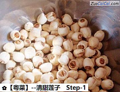 清甜莲子做法第一步骤