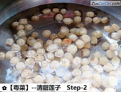 清甜莲子做法第二步骤