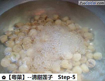 清甜莲子做法第五步骤