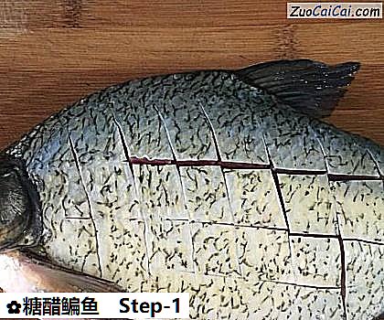 糖醋鳊鱼做法第一步骤