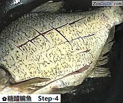 糖醋鳊鱼做法第四步骤
