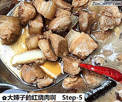 大婶子的红烧肉啊做法第五步骤