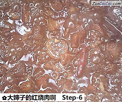 大婶子的红烧肉啊做法第六步骤