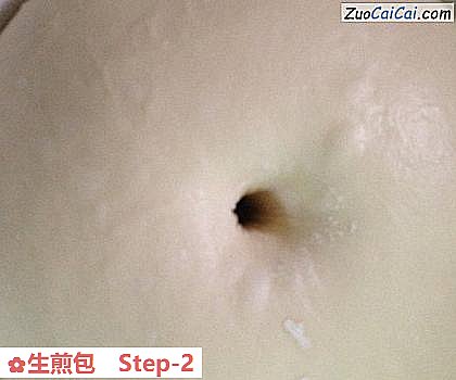 生煎包做法第二步骤