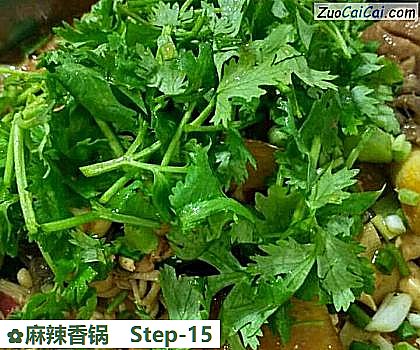 麻辣香锅做法第十五步骤
