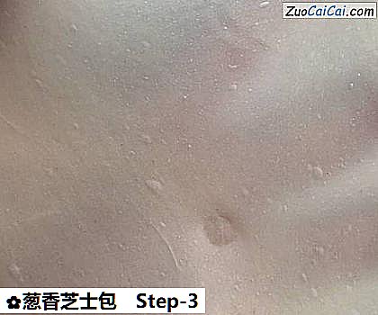 葱香芝士包做法第三步骤