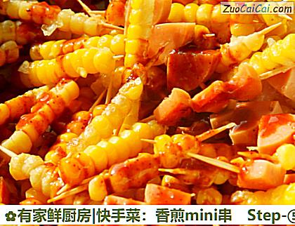 有家鲜厨房|快手菜:香煎mini串做法第五步骤