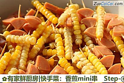 有家鲜厨房|快手菜:香煎mini串做法第六步骤