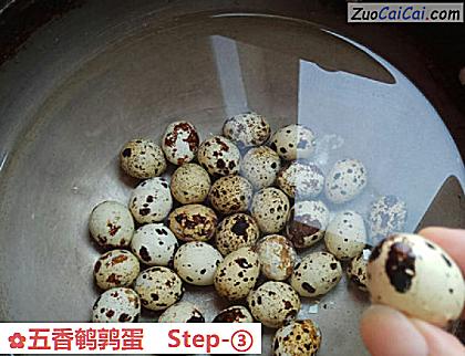 五香鹌鹑蛋做法第三步骤