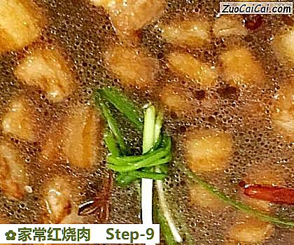 家常红烧肉做法第九步骤