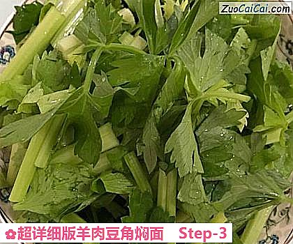 超详细版羊肉豆角焖面做法第三步骤