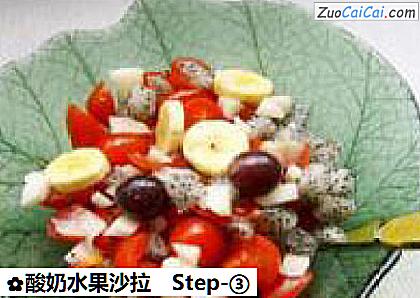 酸奶水果沙拉做法第三步骤