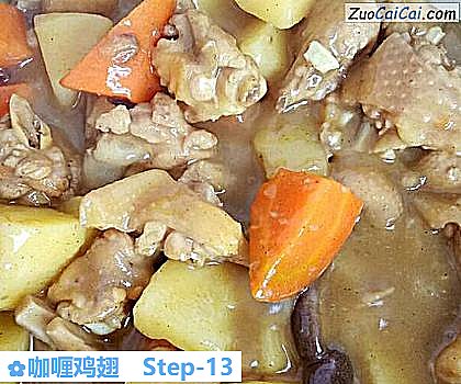 咖喱鸡翅的做法步骤图(十三) 咖喱鸡翅的做法步骤图(十三)