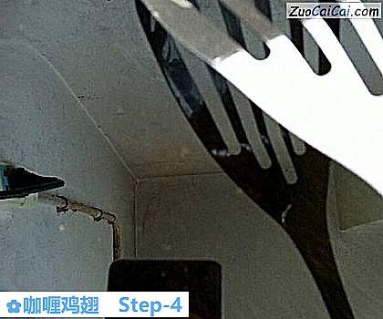 咖喱鸡翅的做法步骤图(四) 咖喱鸡翅的做法步骤图(四)