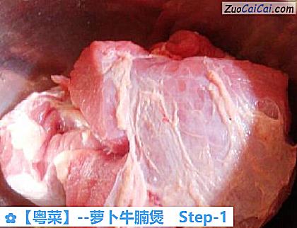 萝卜牛腩煲做法第一步骤