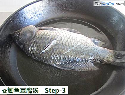 鲫鱼豆腐汤做法第三步骤